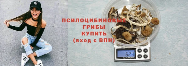 хмурый Армянск