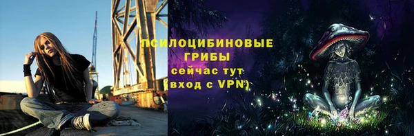 хмурый Армянск